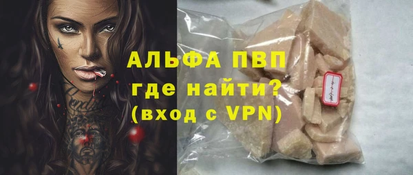 твердый Михайлов