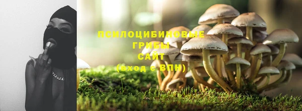 тгк Михайловск