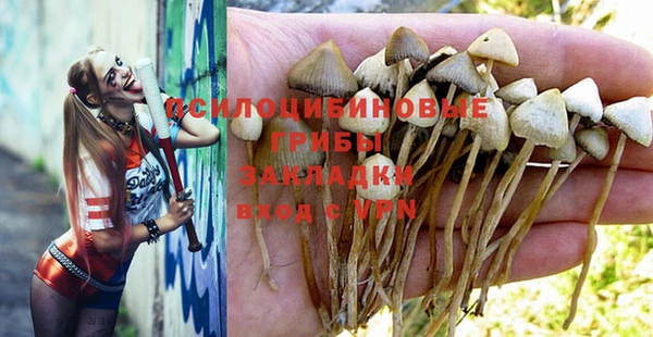 тгк Михайловск