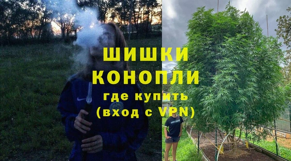 твердый Михайлов