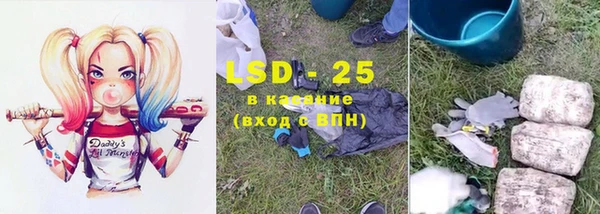 твердый Михайлов