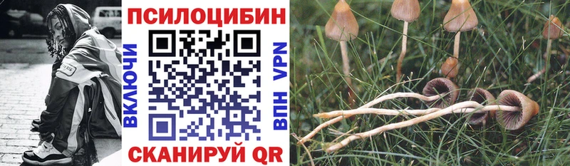 Псилоцибиновые грибы Magic Shrooms  Новая Ляля 